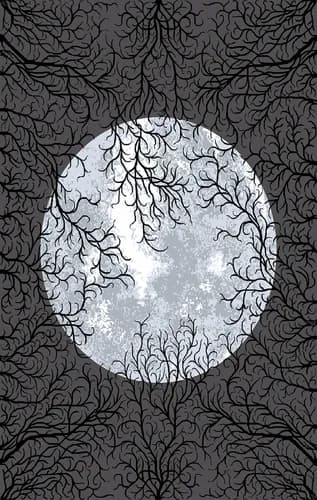 TW1 Modern Abstract Rug Pattern